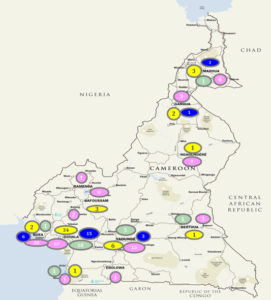 Qui sont les prestataires du réseau PASS24 au Cameroun